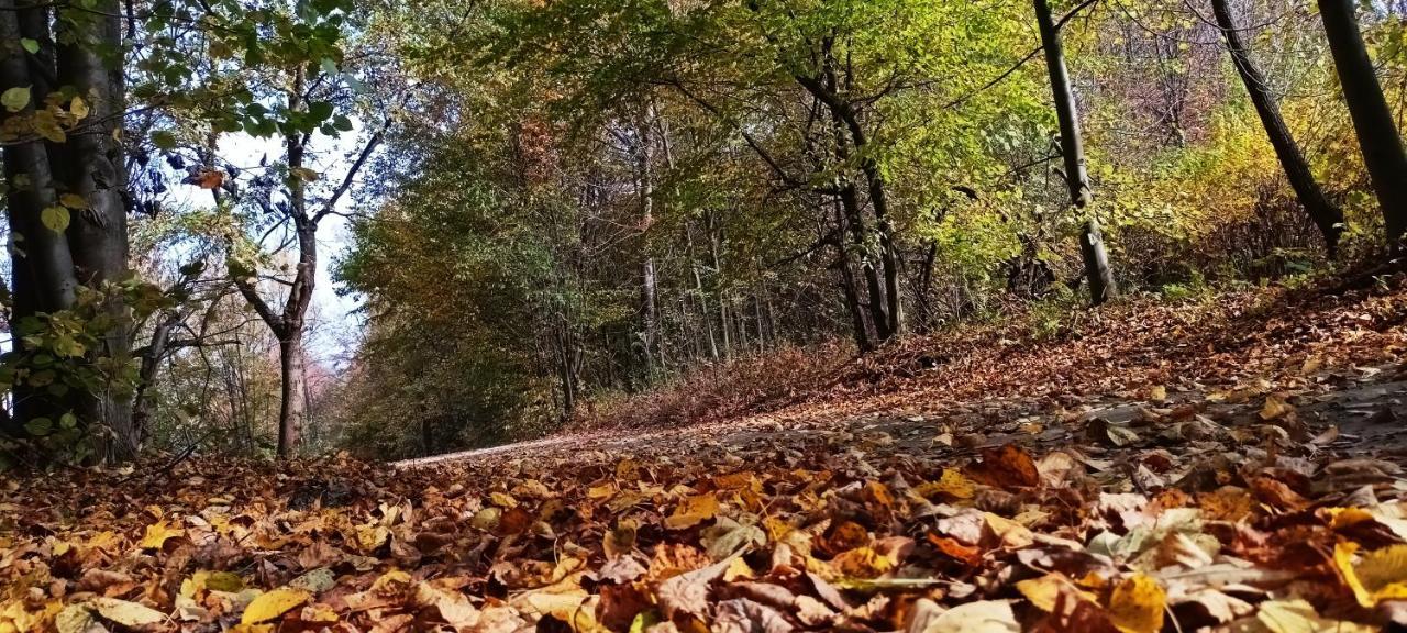 Vila Dom Nad Jeziorem Widokowka Żywiec Exteriér fotografie